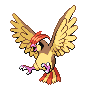 pidgeotto